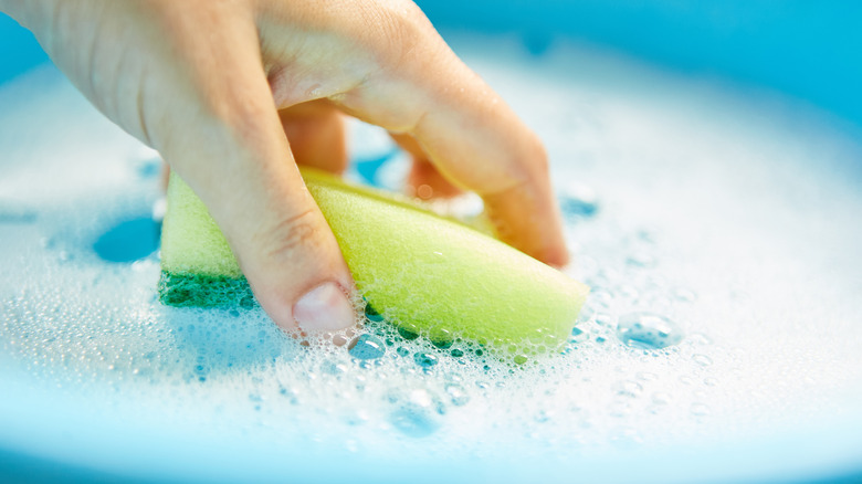 hand dipping sponge in soapy water