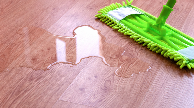 Close up of puddle on laminate floor with soft mop head nearby