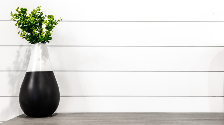 shiplap walls behind plant pot