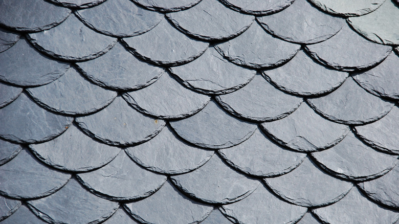 rounded slate shingles on roof