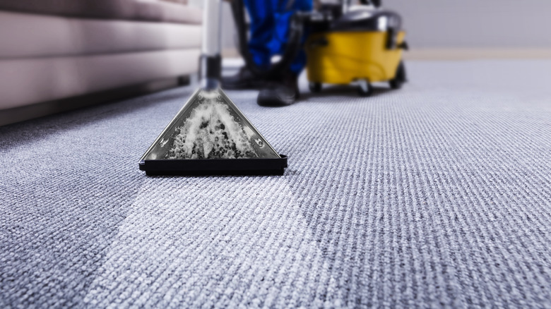 carpet cleaner on carpet