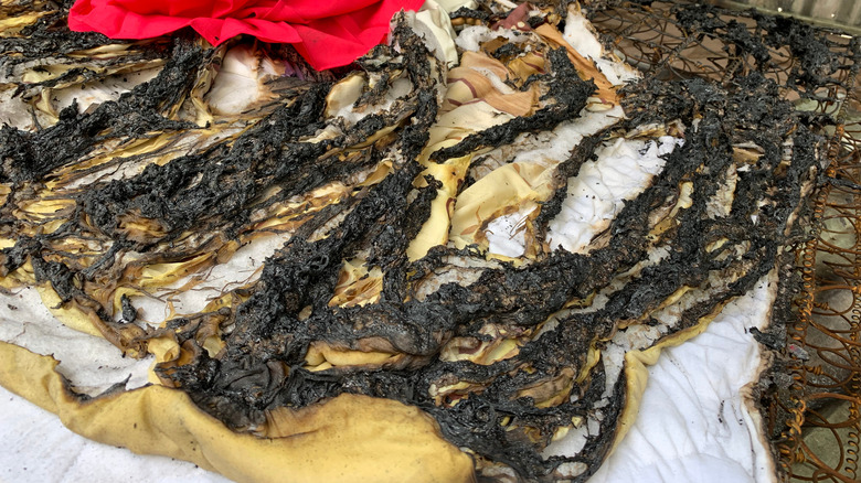 burnt mattress after a fire