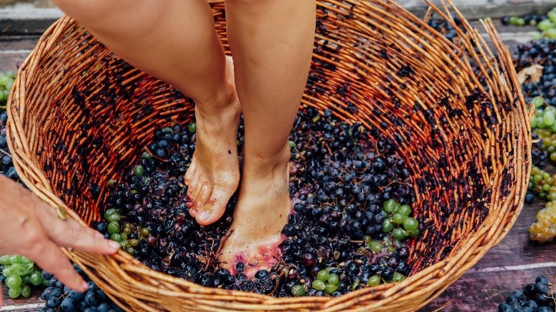 Woman stomping grapes 