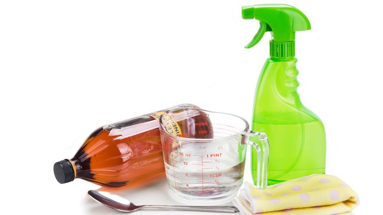 Vinegar cleaning solution ingredients