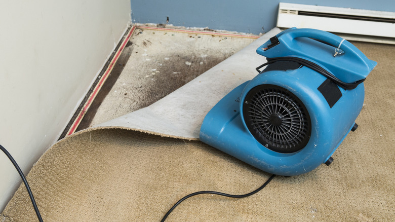 Blue air dryer pointing at wet carpet and walls