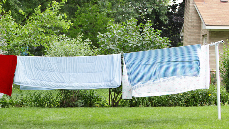 Comforter on clothesline