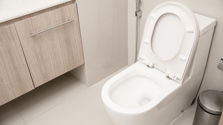 Simple white toilet