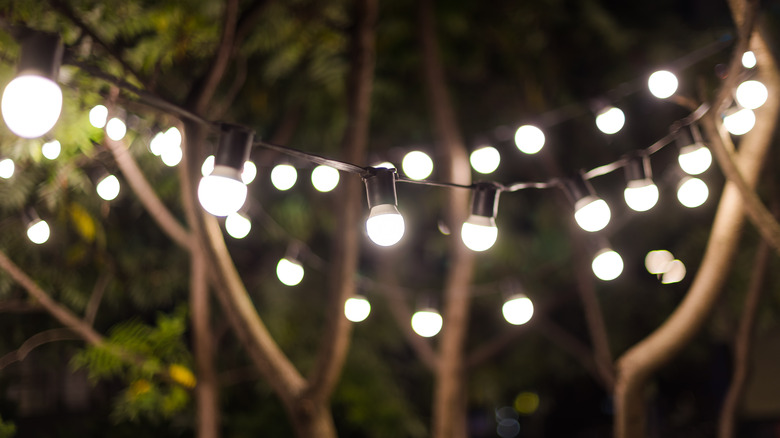 String lights in trees