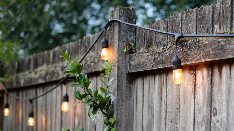 Backyard fence with string lights