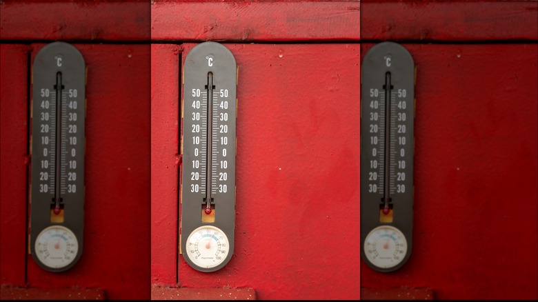 Hygrometer on shed door