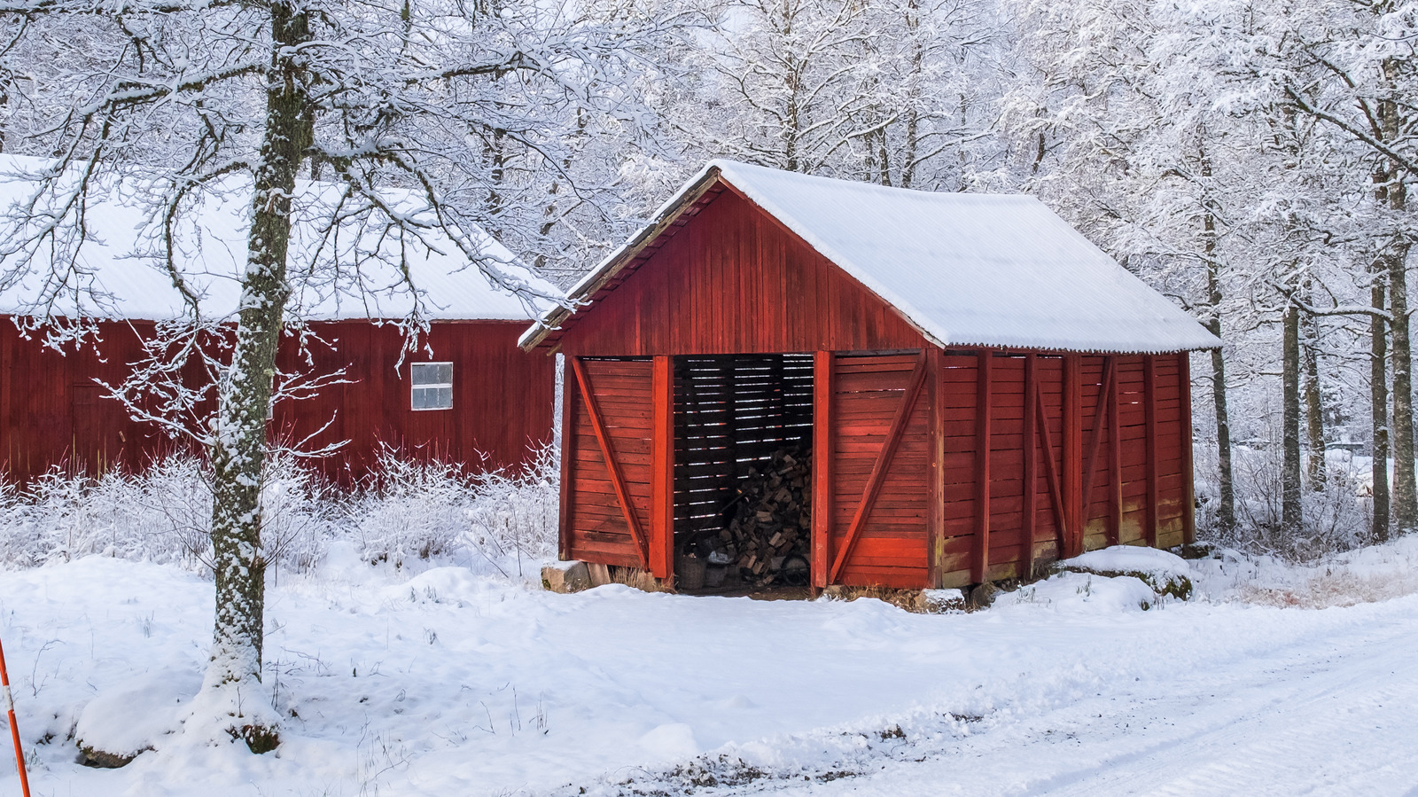 The Best Way To Keep Mold Out Of Your Shed During Snowy Winters