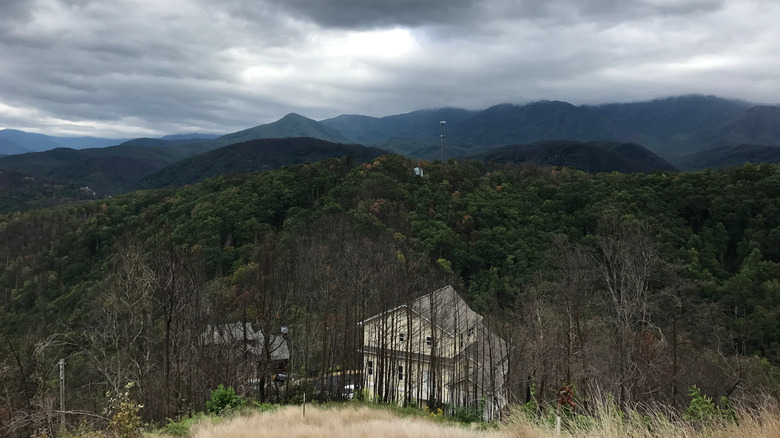 House survives wildfire