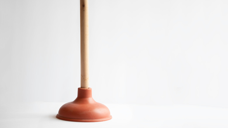 simple plunger