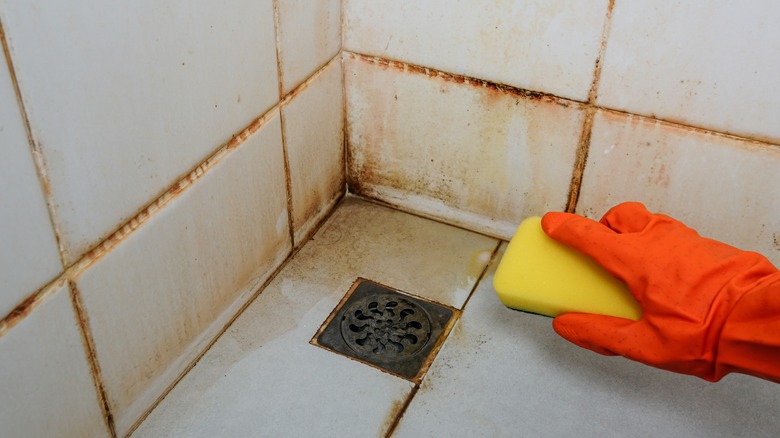 cleaning rusty shower with sponge