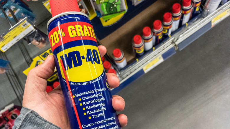 Someone holding can of WD-40 at store