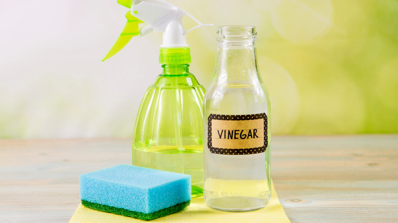 bottle of vinegar, spray bottle, sponge