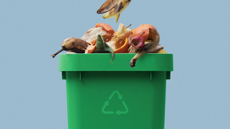 food waste in a bin