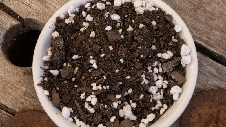 Close-up of soil with perlite