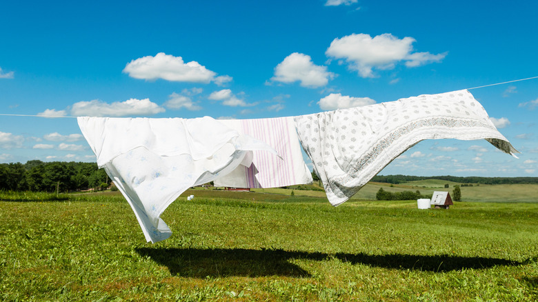 blankets drying on a clothes line