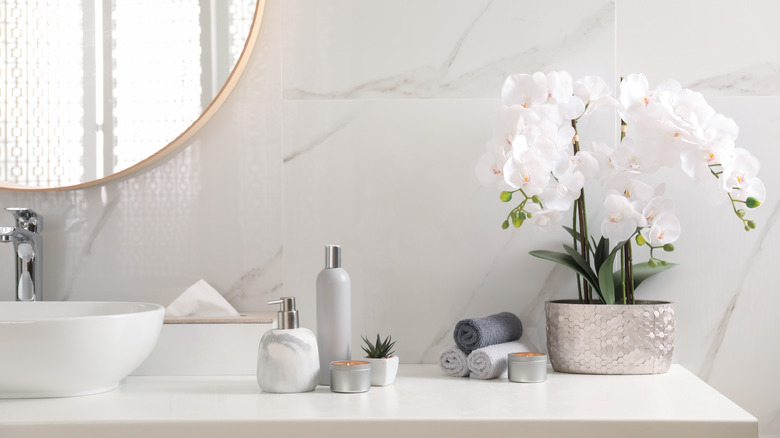 neatly stocked bathroom counter