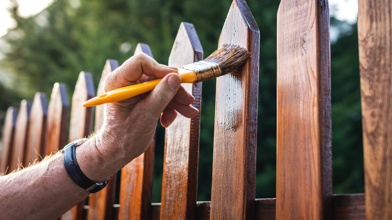 Person staining wood fence