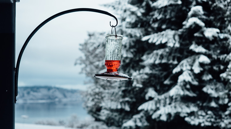 A hummingbird feeder hanging in the snow 