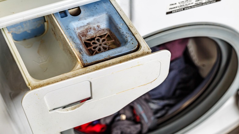 Moldy washing machine