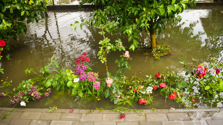 floods after massive storm