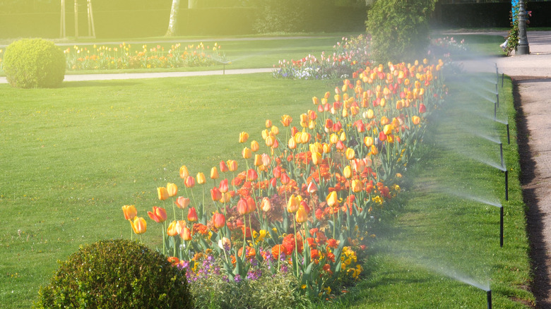 automatic lawn irrigation