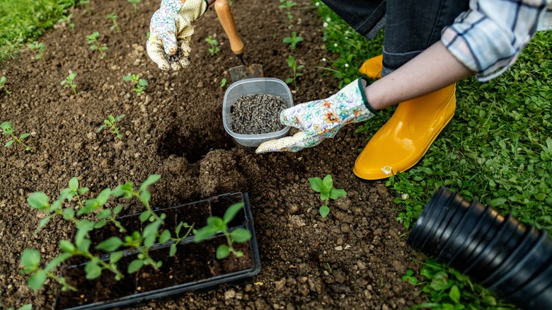 woman preparing soil