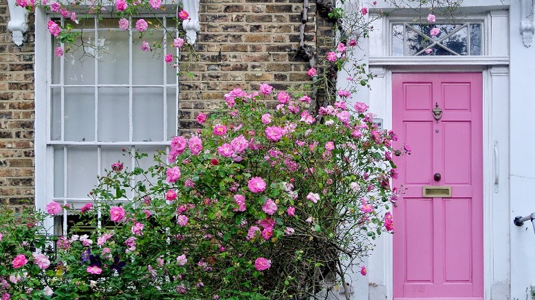 Pink front door