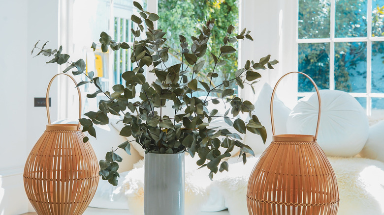 eucalyptus stems in white vase