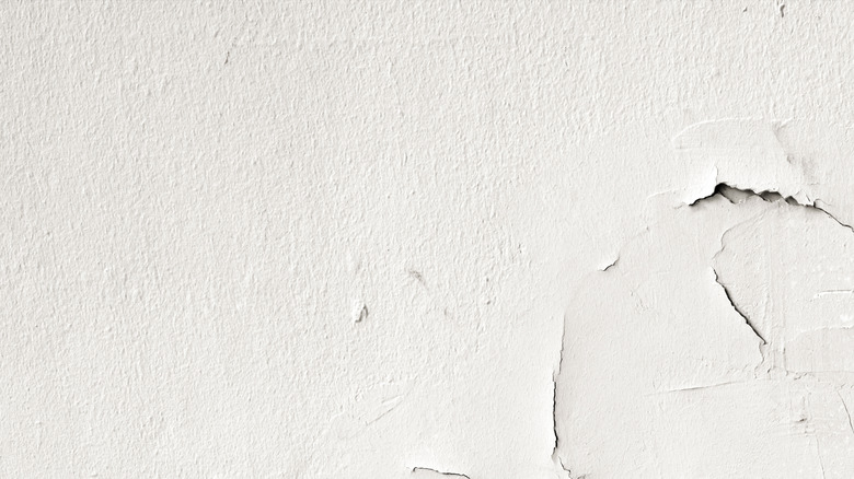 paint peeling off wall