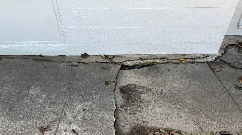 A cracked concrete driveway in front of a garage