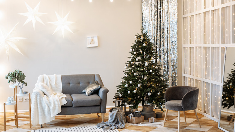 small tree in large room