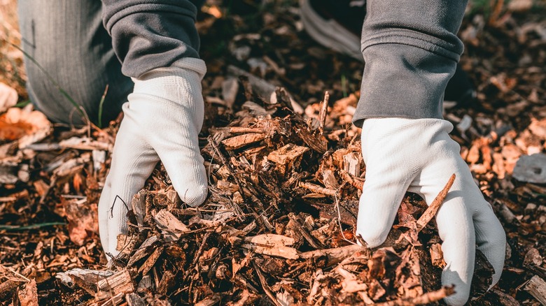 Composting wood chips outdoors 