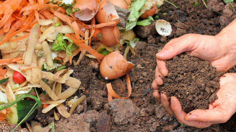 A person holding composted earth 