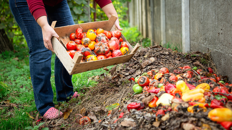 A person adding food to a compost pile