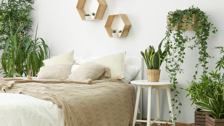 white bedroom with plants