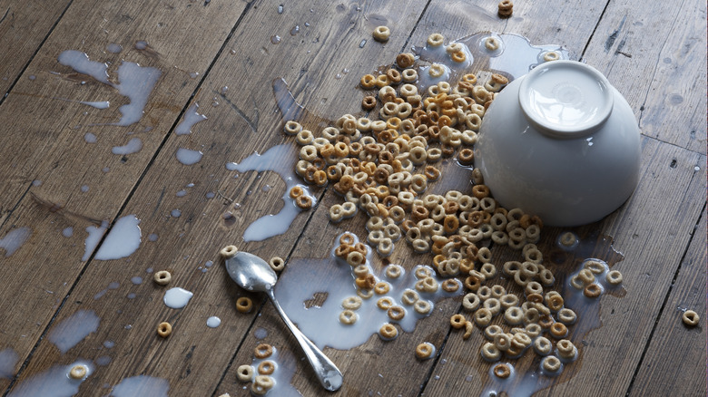 Cereal spilled on wood floor