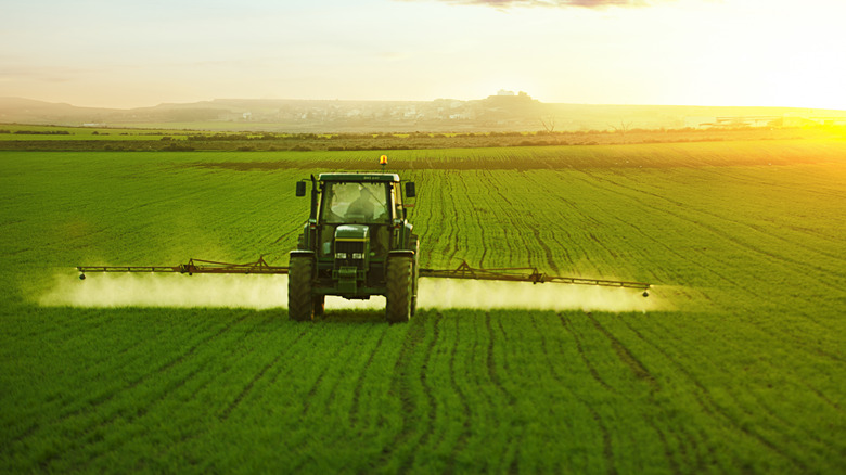 tractor spraying wheat fields herbicide