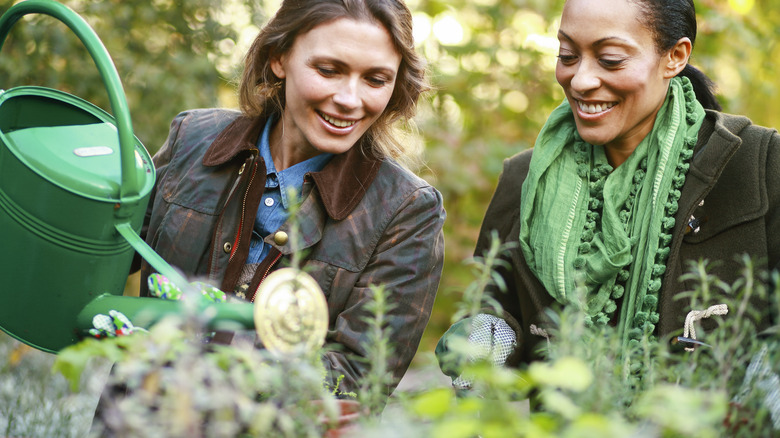 Two friends watering plants 