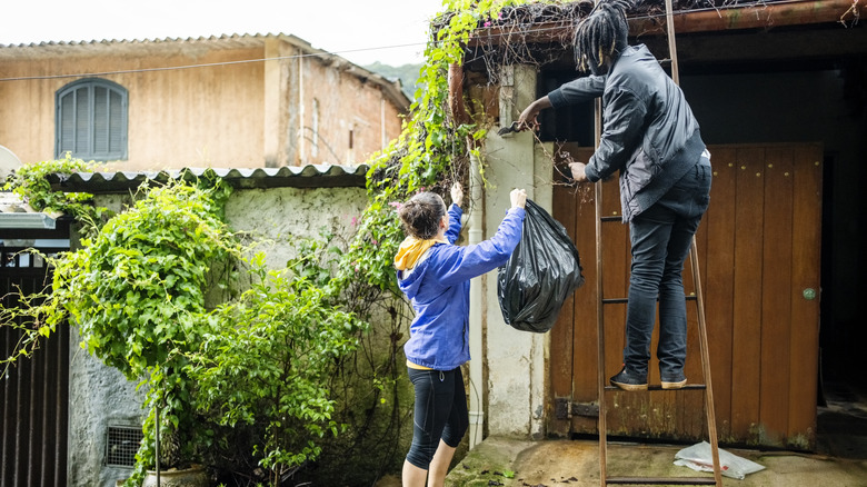 Family cleaning outside storage shed