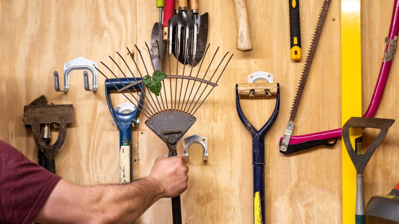 Tools hanging on wall