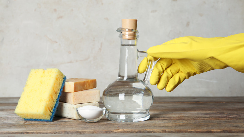 Vinegar and other cleaning products