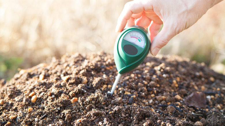 A person places a pH tester into soil