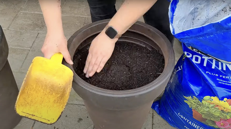 woman filling large plant pot with soil