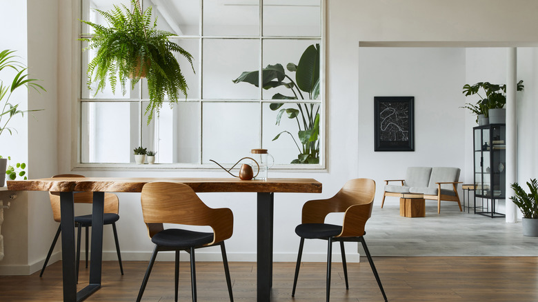 white kitchen with big window