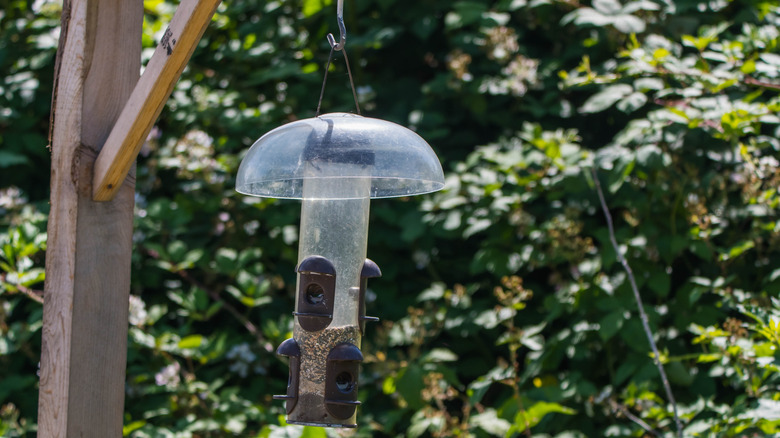 A bird feeder with hood hanging in a garden.