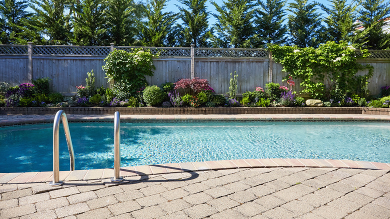 pool in backyard